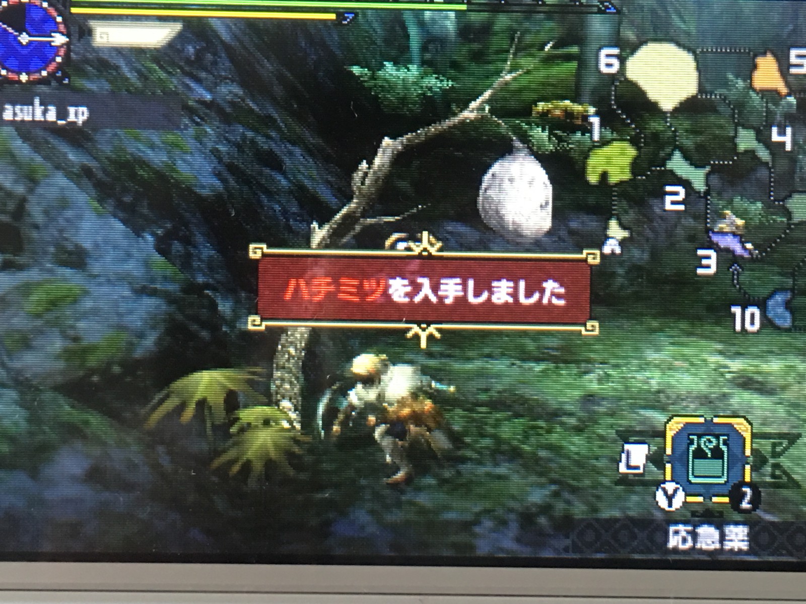 モンハンx攻略 序盤でハチミツを入手できる場所とクエスト Mhx め んずスタジオ