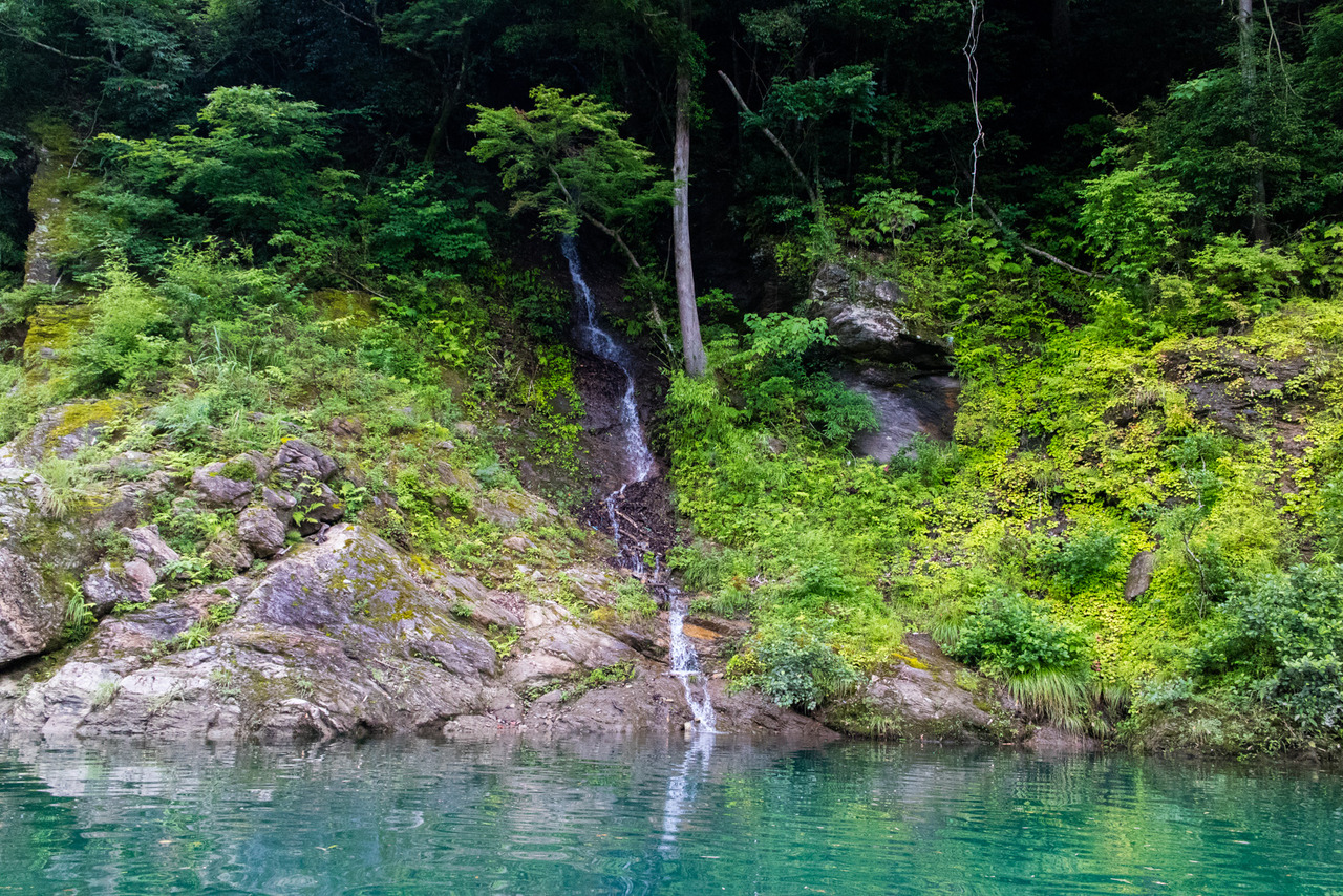 ほんとに日本一なの オバマ大統領も飲んだ宮川の天然水 大台町pr め んずスタジオ