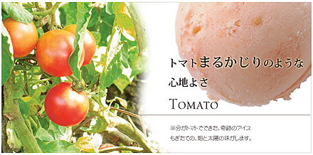 2008-06-07_tomato